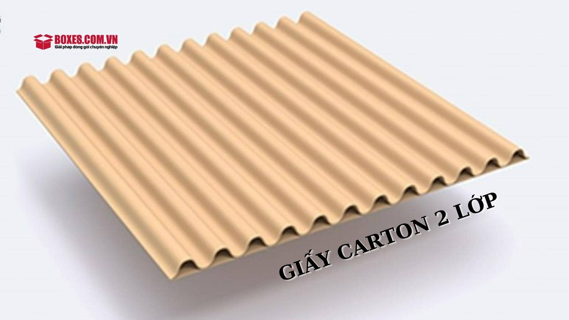 Giấy bìa carton 2 lớp được làm từ giấy xeo