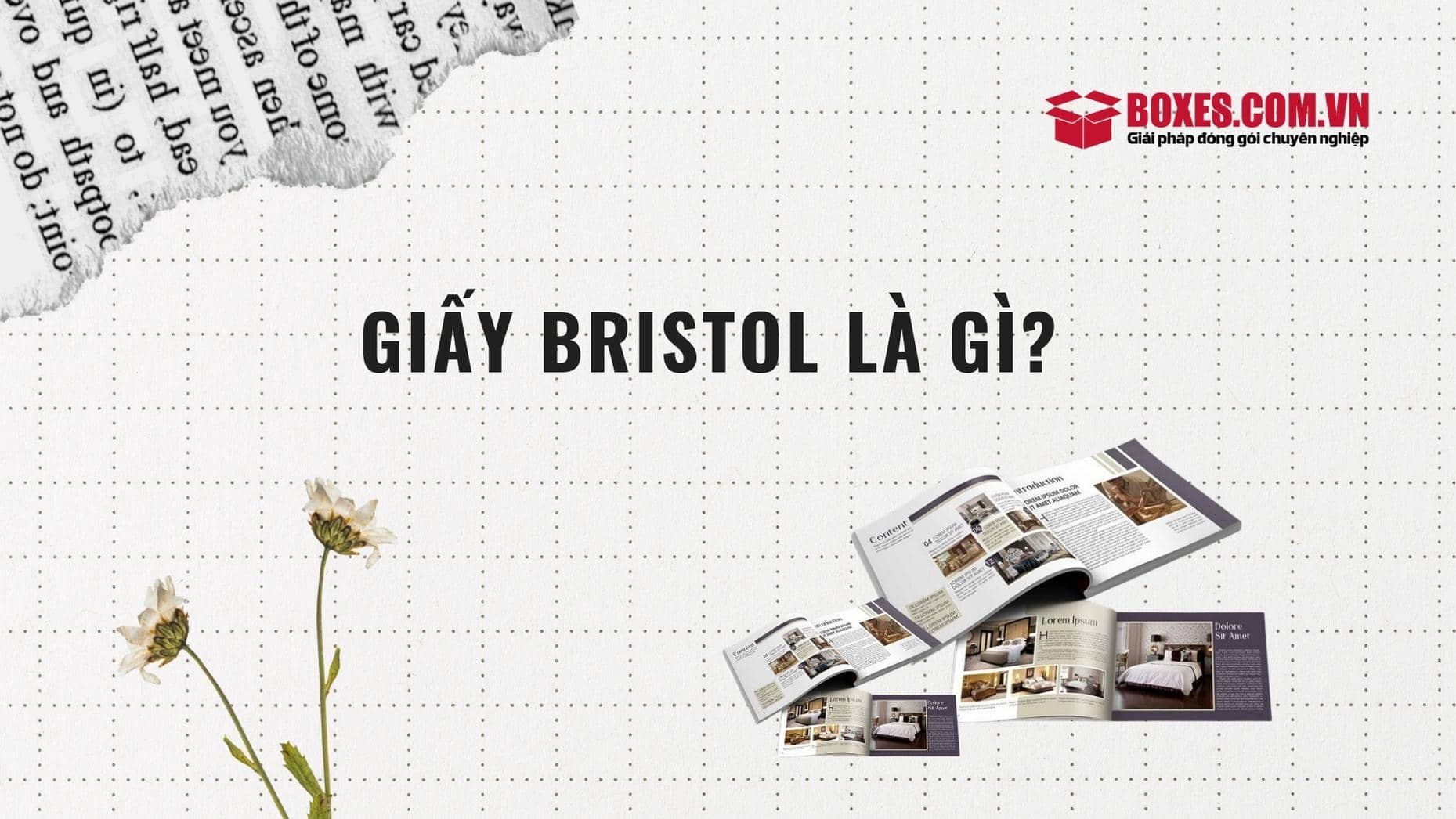 Giấy Bristol là gì? Cùng tìm hiểu nhé!