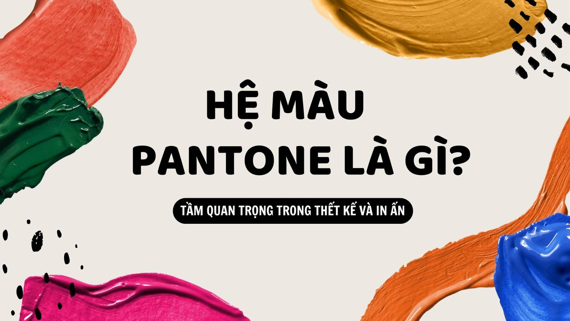 Hệ thống màu Pantone là gì? Tầm quan trọng trong thiết kế và in ấn