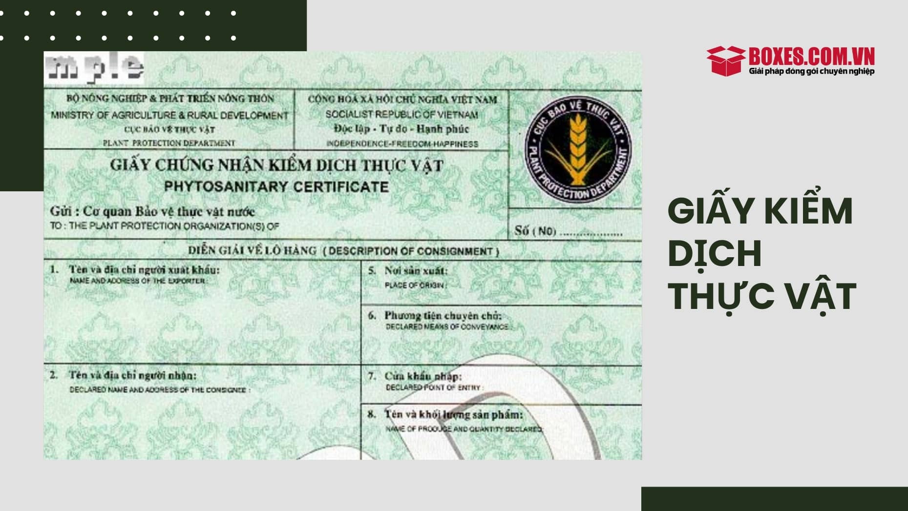 Hình ảnh giấy chứng nhận kiểm dịch thực vật