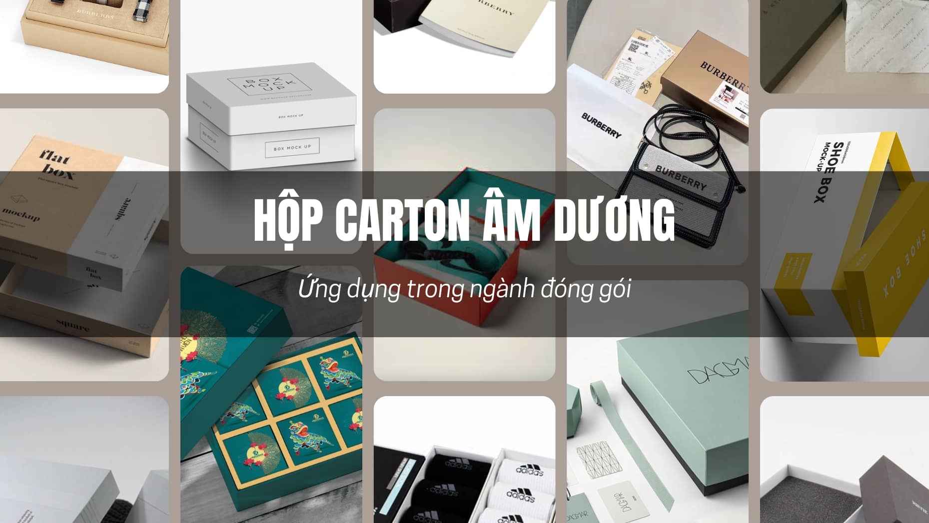 Hộp carton âm dương - Ứng dụng trong ngành đóng gói