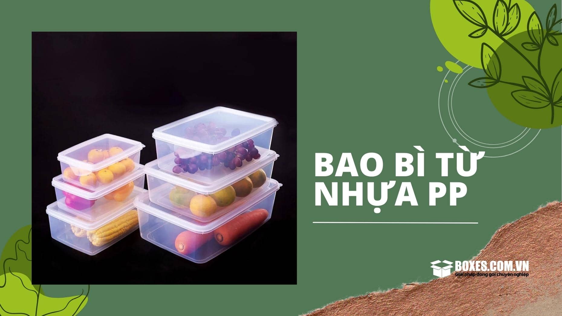 Hộp đựng thực phẩm từ nhựa PP