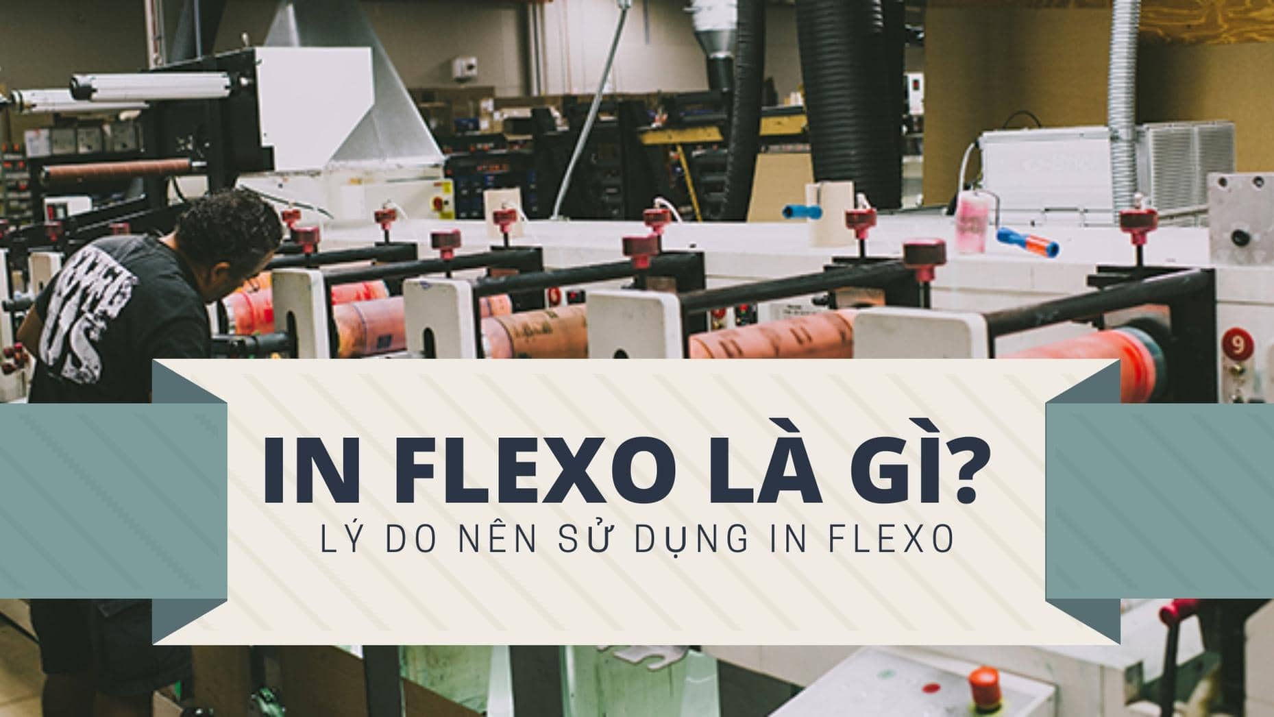 In Flexo là gì? Lý do nên sử dụng công nghệ in Flexo trong in ấn
