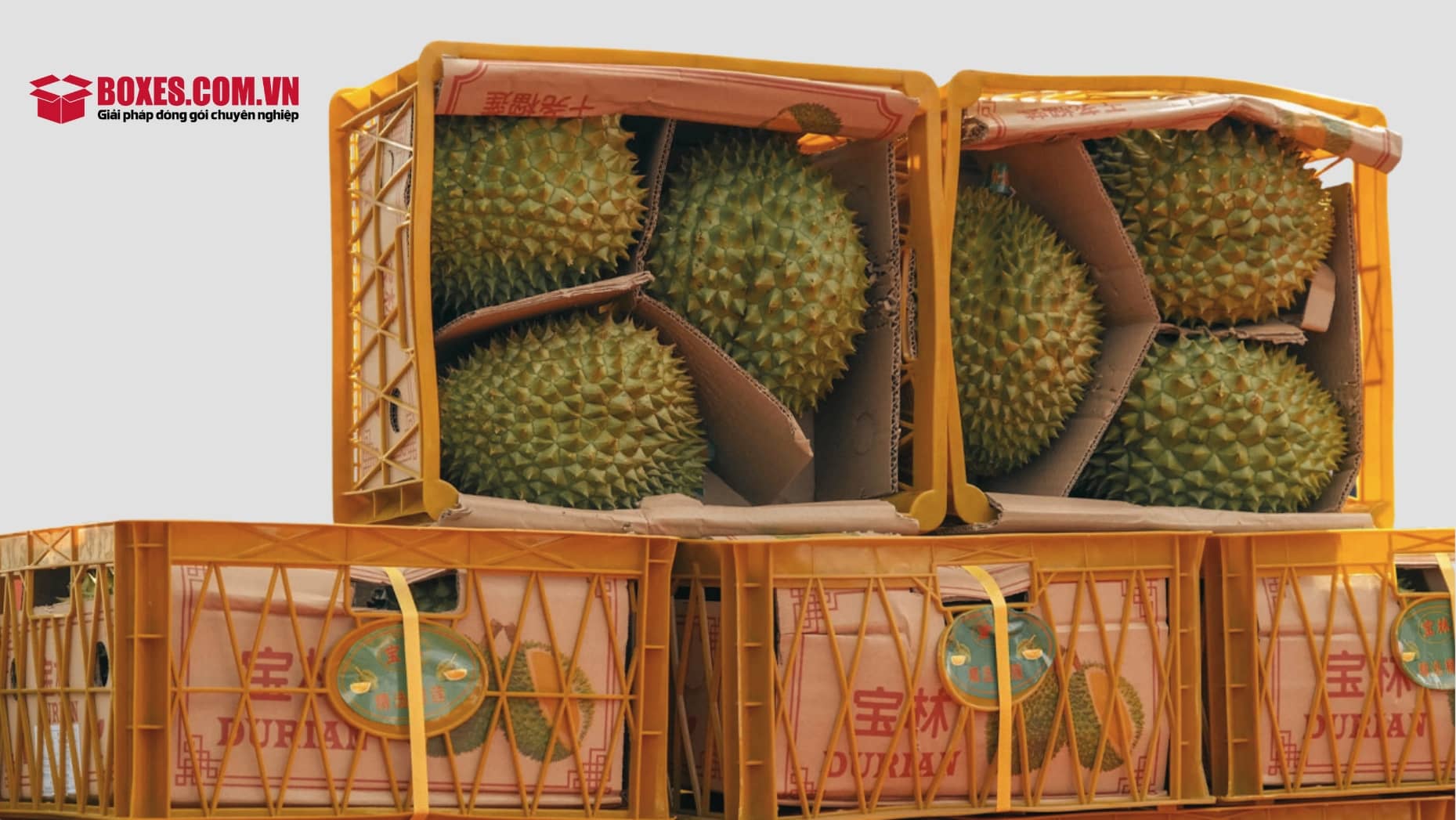                                  Kết hợp đóng gói thùng carton vào trong thùng nhựa