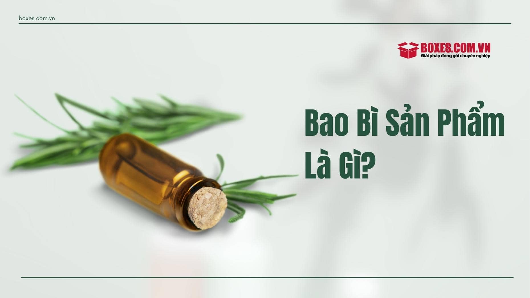 Khái niệm về bao bì sản phẩm