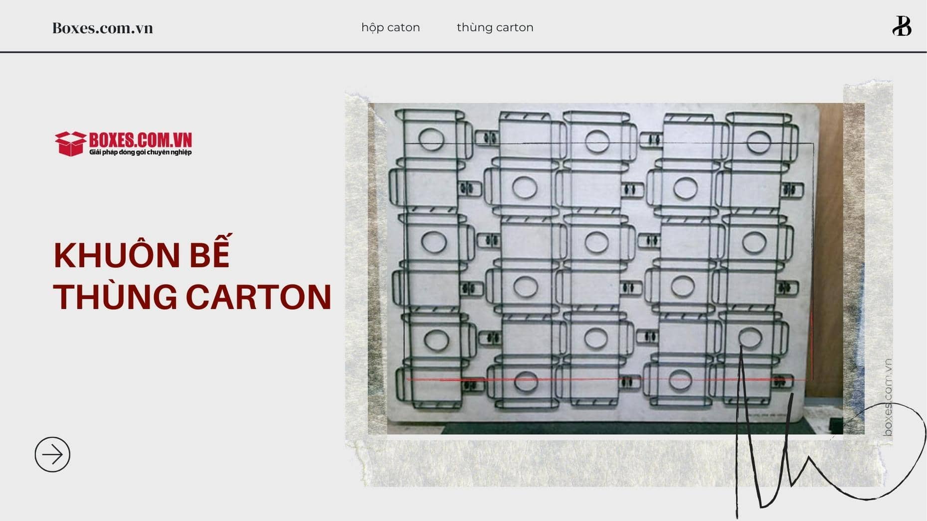 Khuôn bế của thùng carton