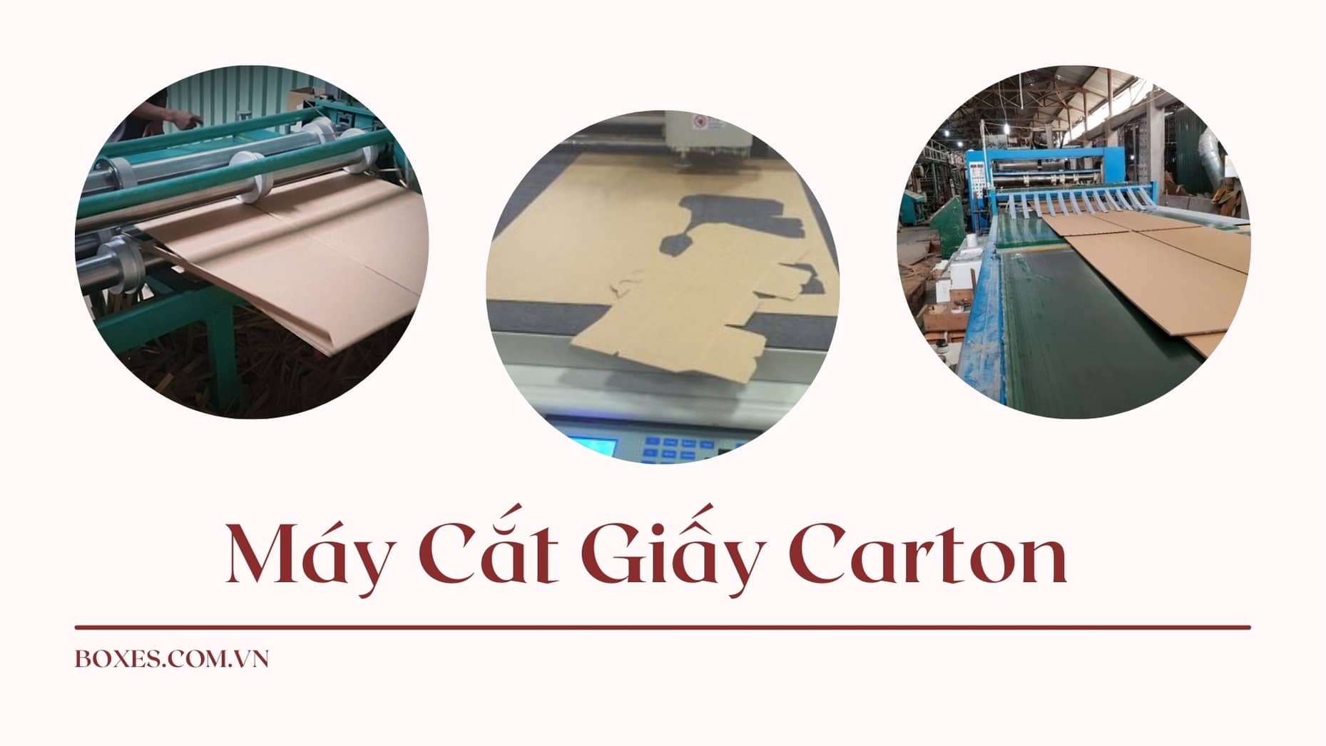 Liệt kê các loại máy cắt giấy carton được sử dụng nhiều nhất trên thị trường