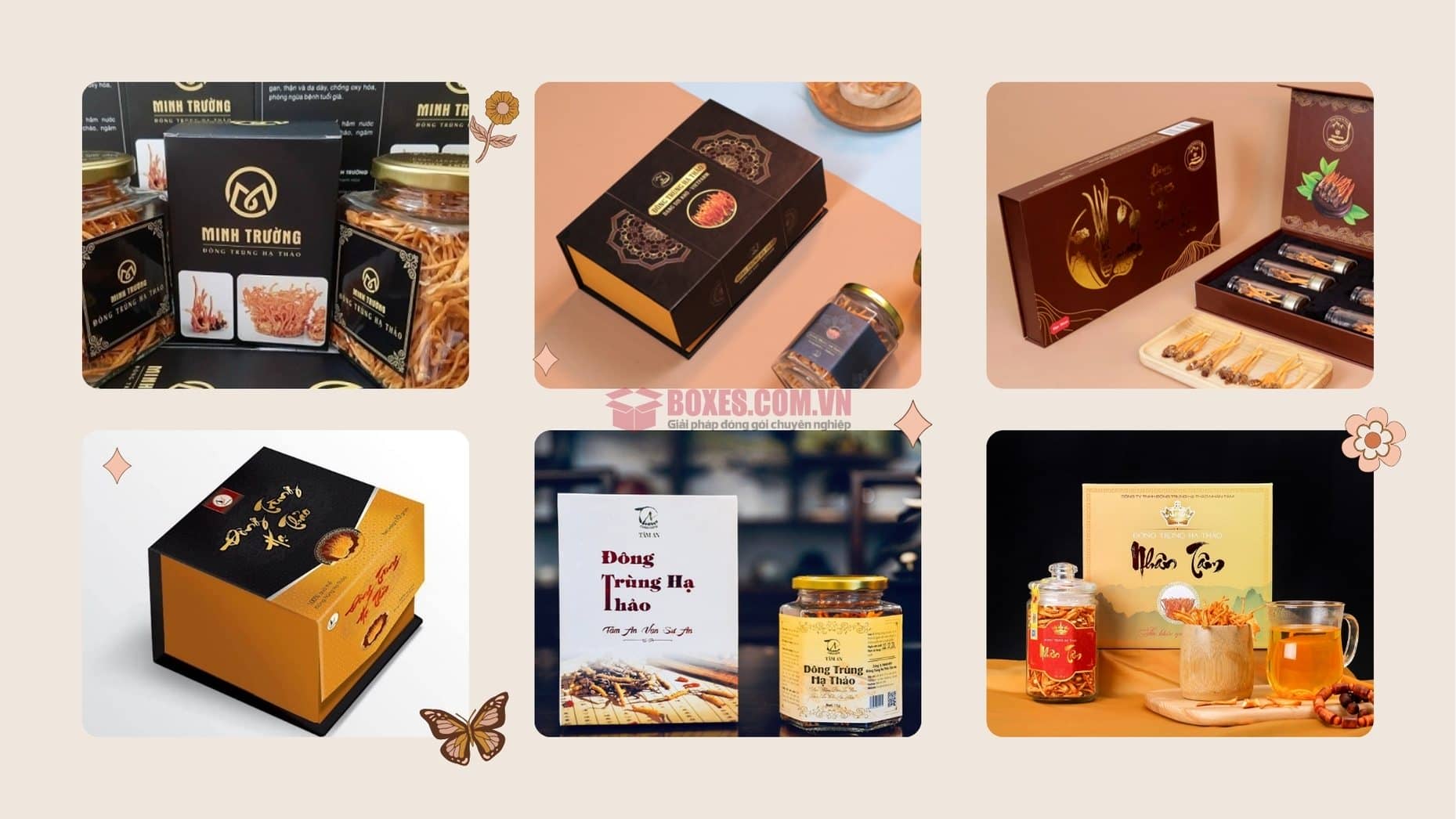 Một số mẫu hộp đựng đông trùng hạ thảo