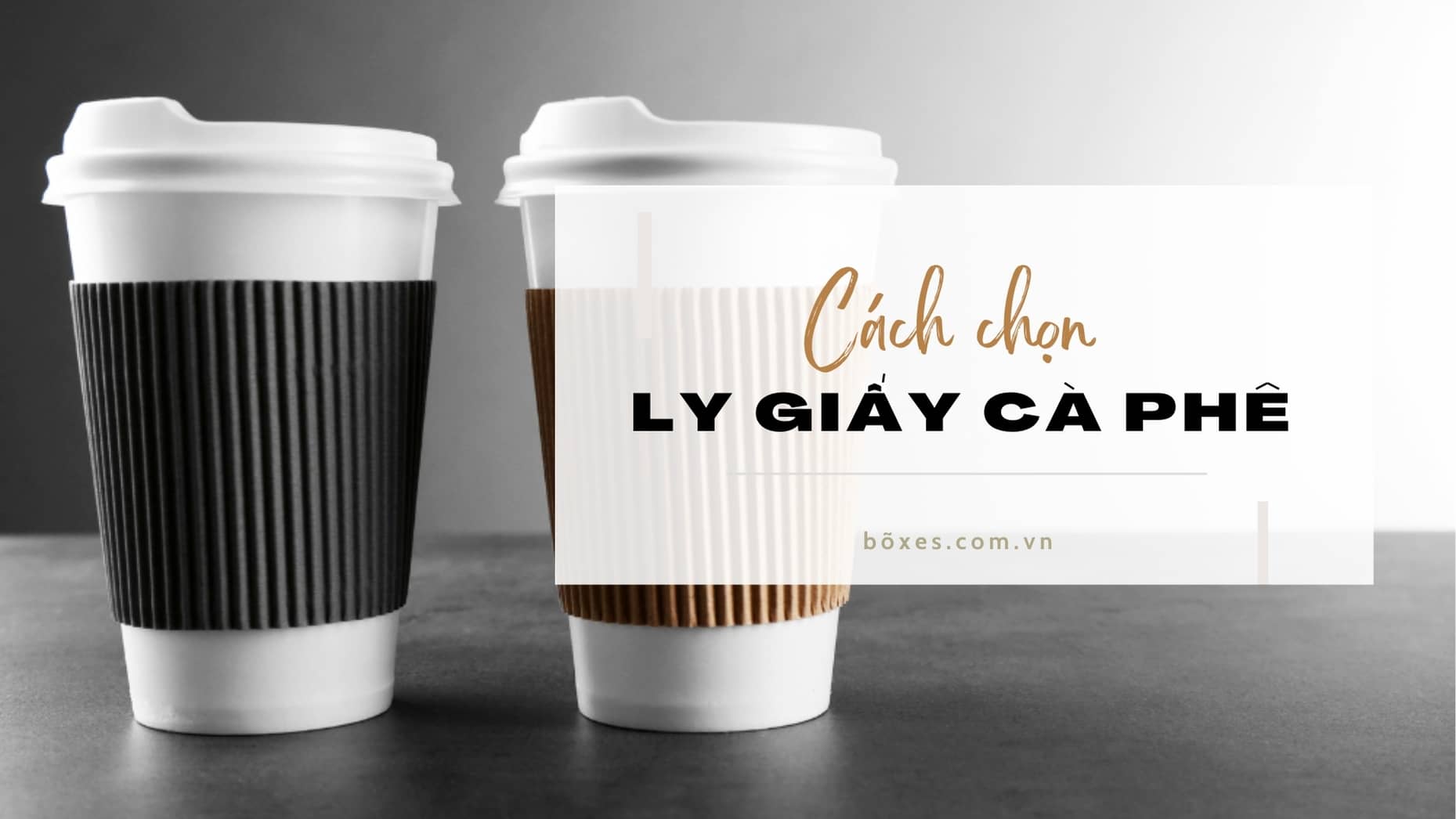 Mách bạn cách chọn ly giấy đựng cà phê đảm bảo phù hợp với nhu cầu, cực đơn giản