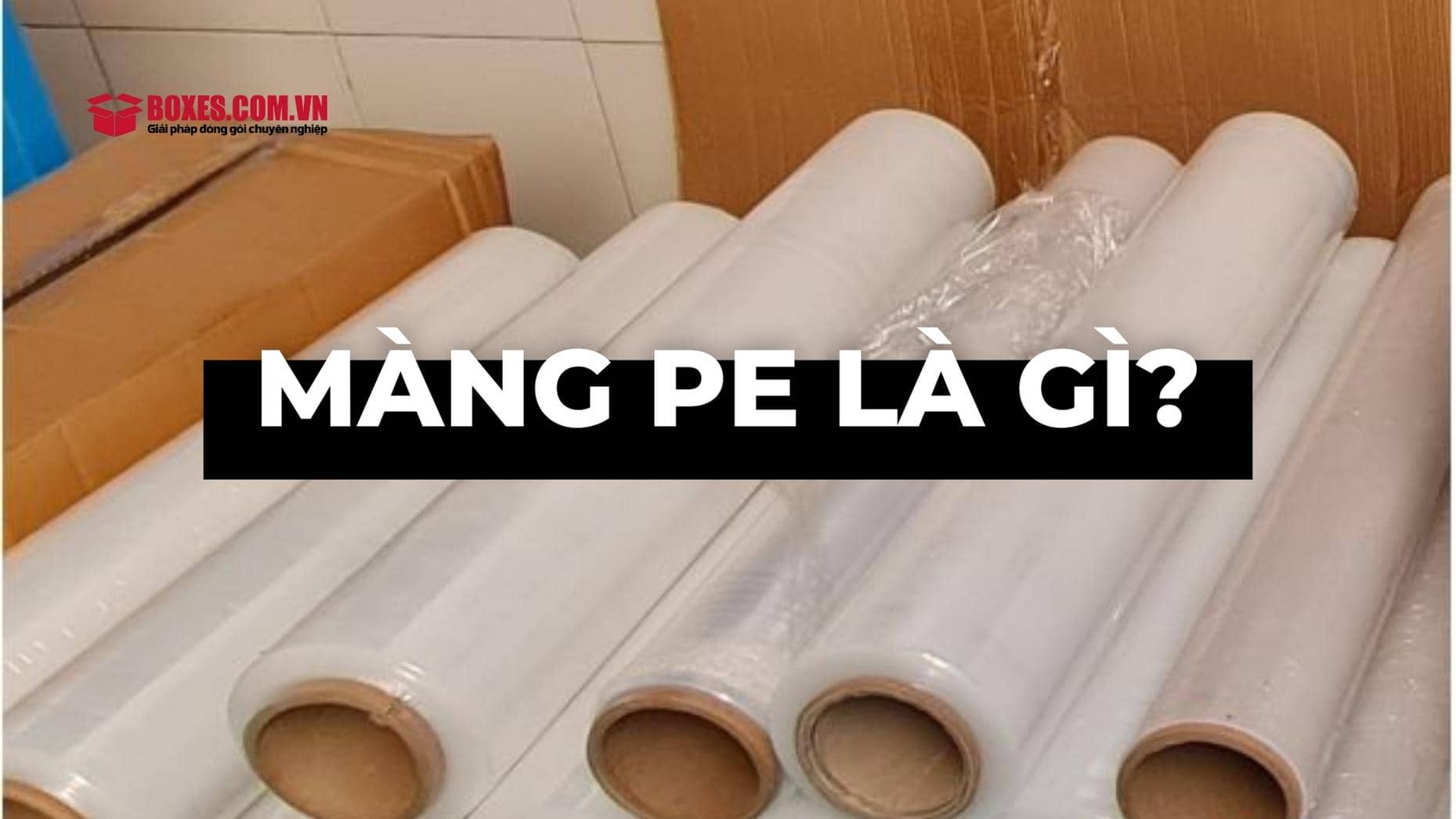 Màng PE là gì?