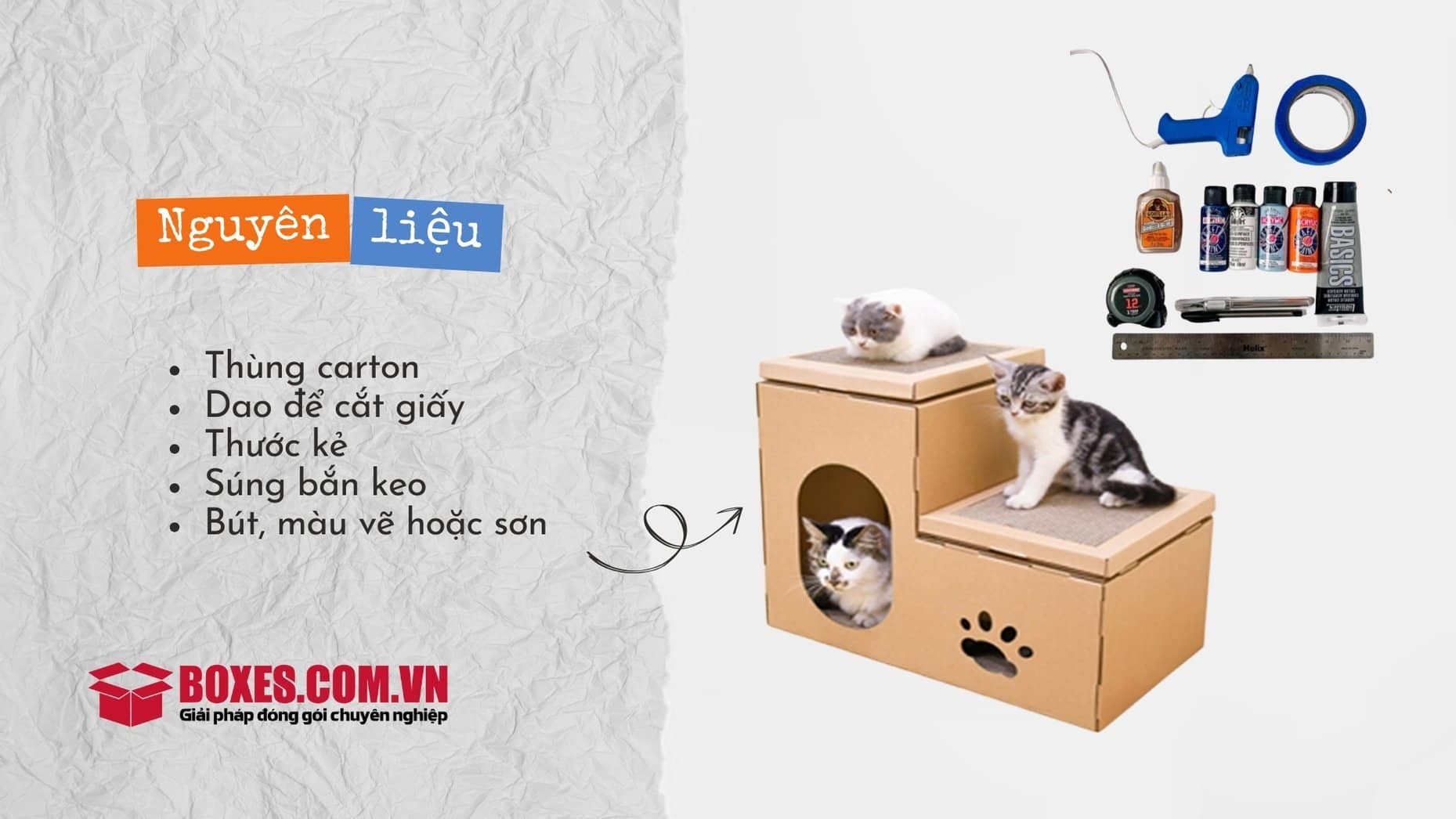 Một số dụng cụ chuẩn bị làm đồ chơi cho mèo
