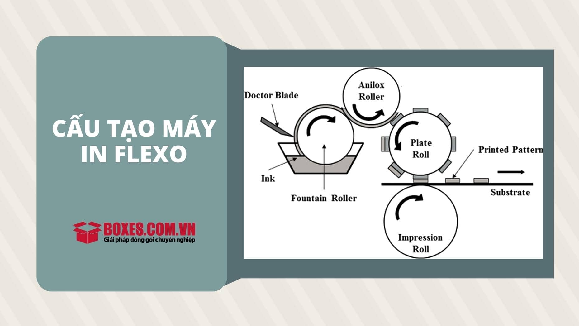 Những bộ phận của máy in Flexo