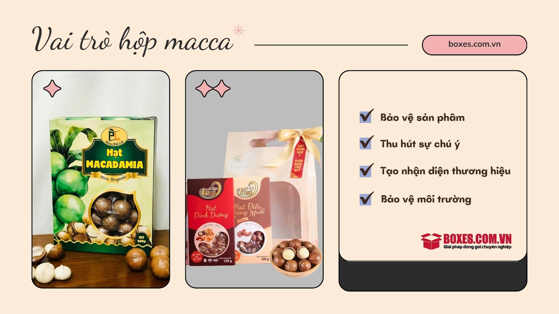 Những lợi ích mà hộp giấy đựng macca mang lại