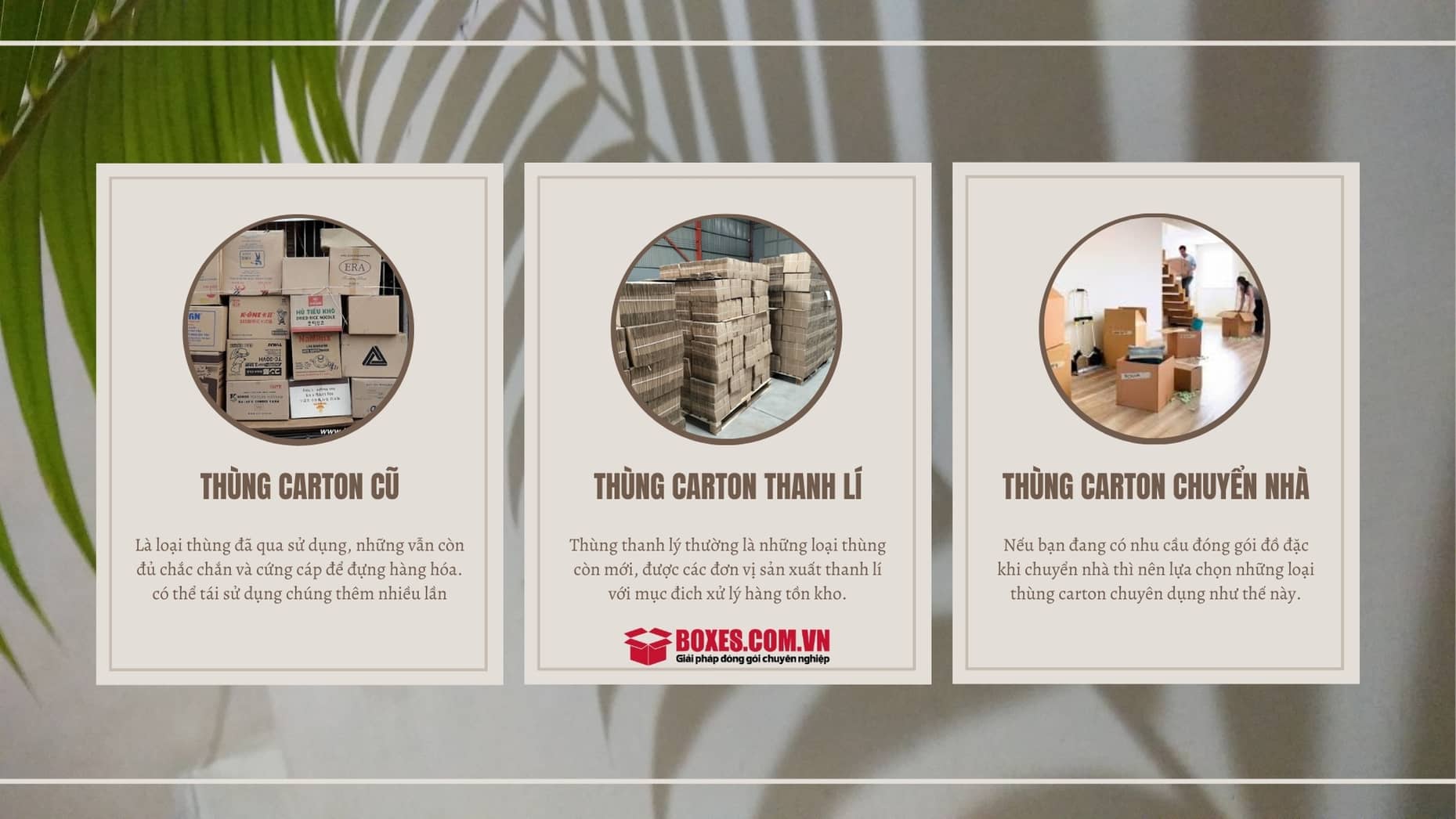 Phân loại thùng carton được sử dụng nhiều nhất tại quận 6