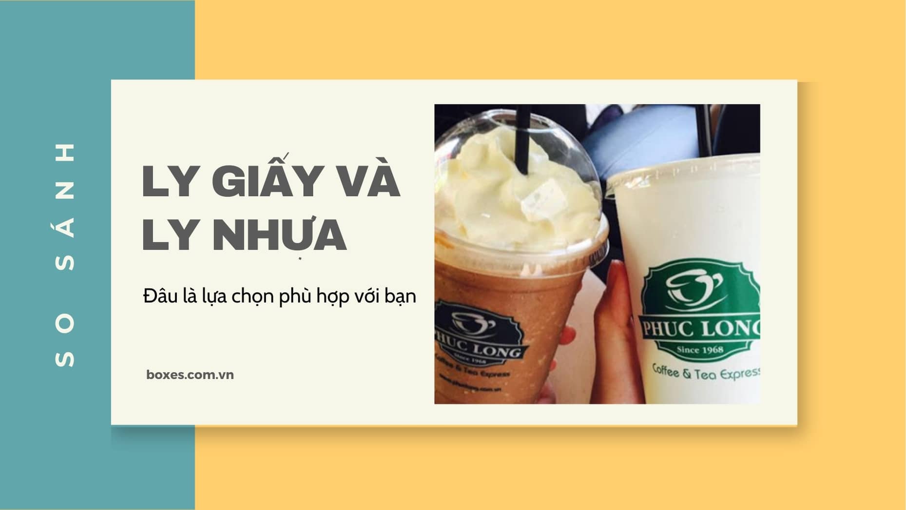So sánh ly giấy và ly nhựa? Đâu là lựa chọn phù hợp với nhu cầu của bạn