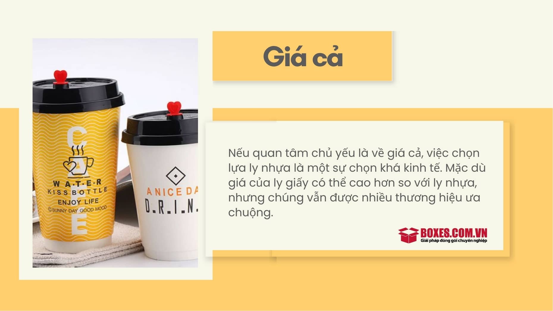 So sánh ly giấy và ly nhựa về giá cả
