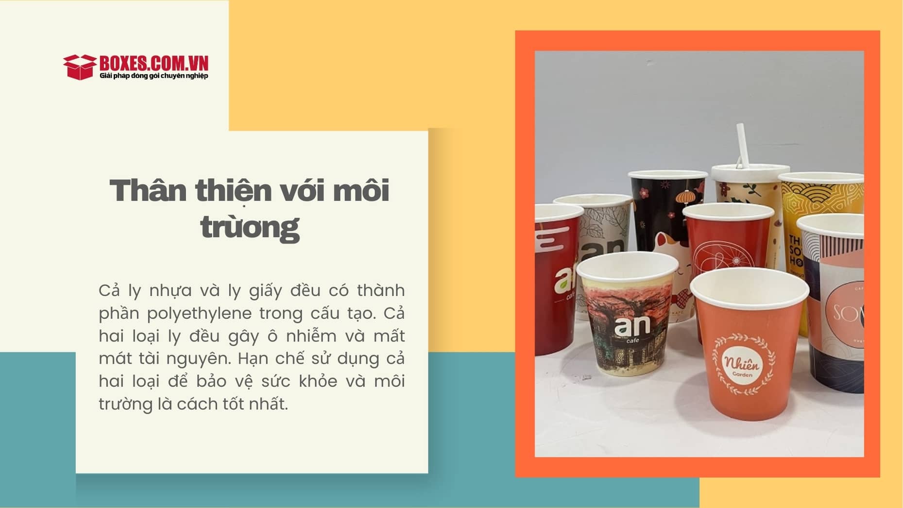So sánh ly giấy và ly nhựa về tính thân thiện với môi trường