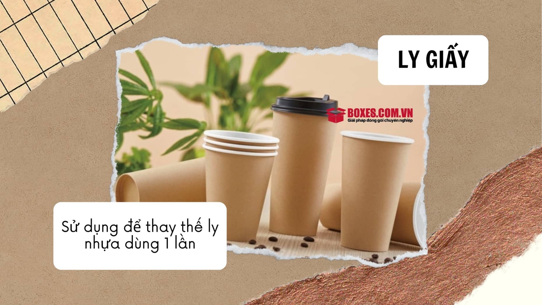 Sử dụng ly giấy thay cho ly nhựa