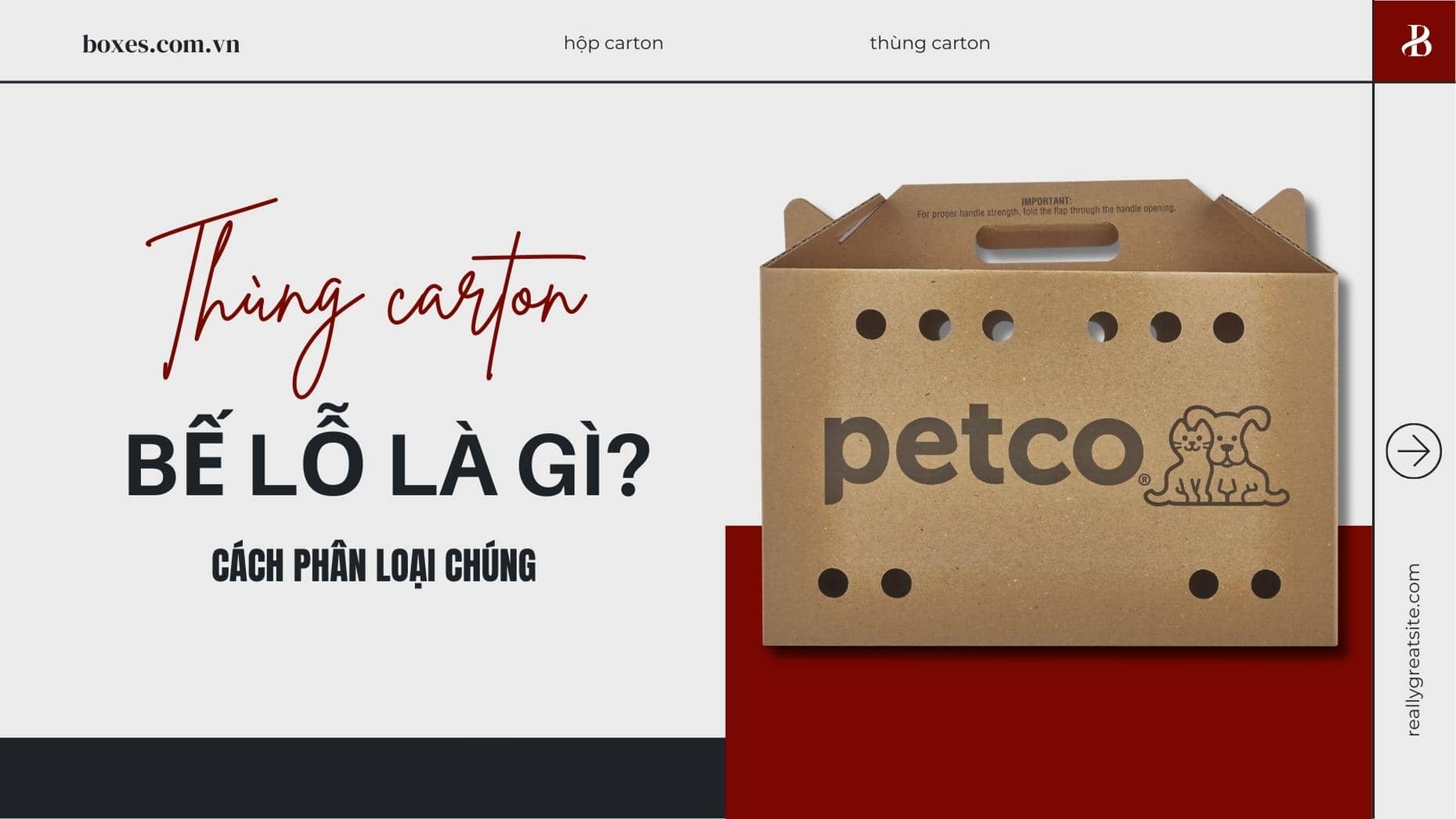 Thùng carton bế lỗ là gì? Cách phân loại chúng