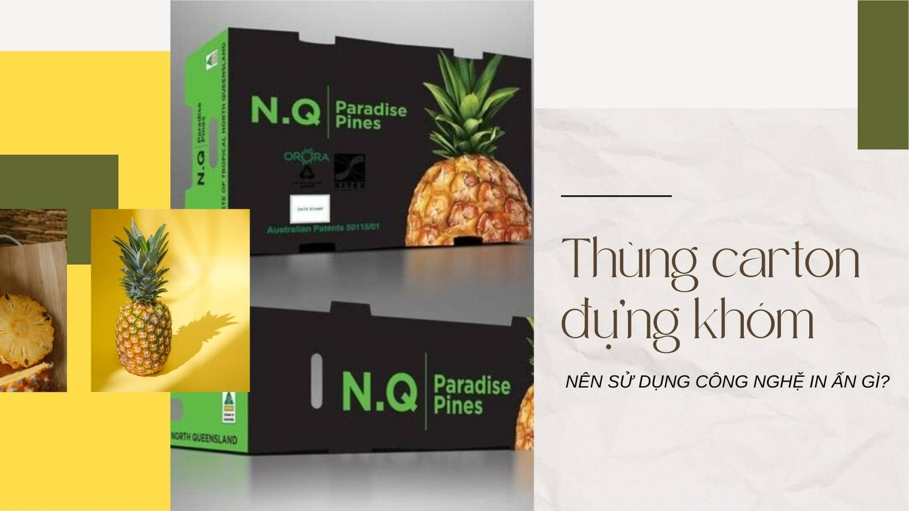 Thùng carton đựng khóm nên sử dụng công nghệ in ấn gì?