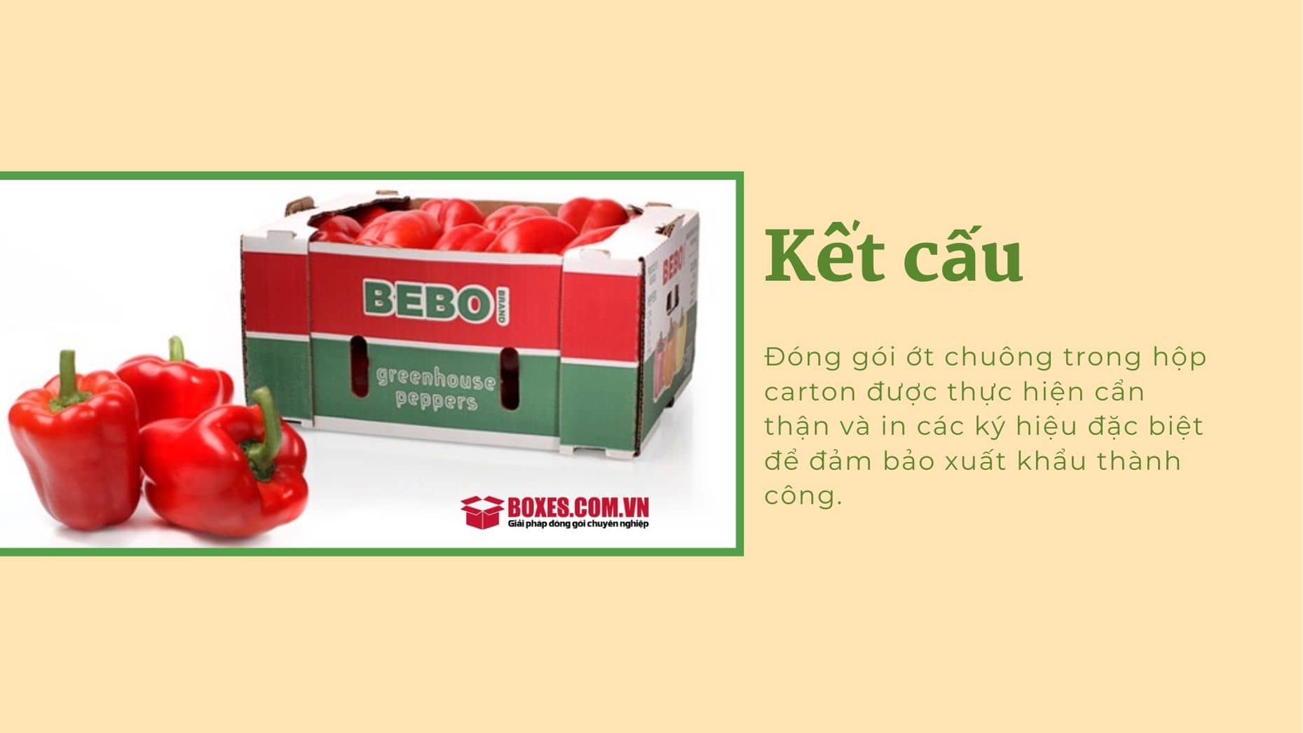 Thùng carton đựng ớt chuông có kết cấu chắc chắn