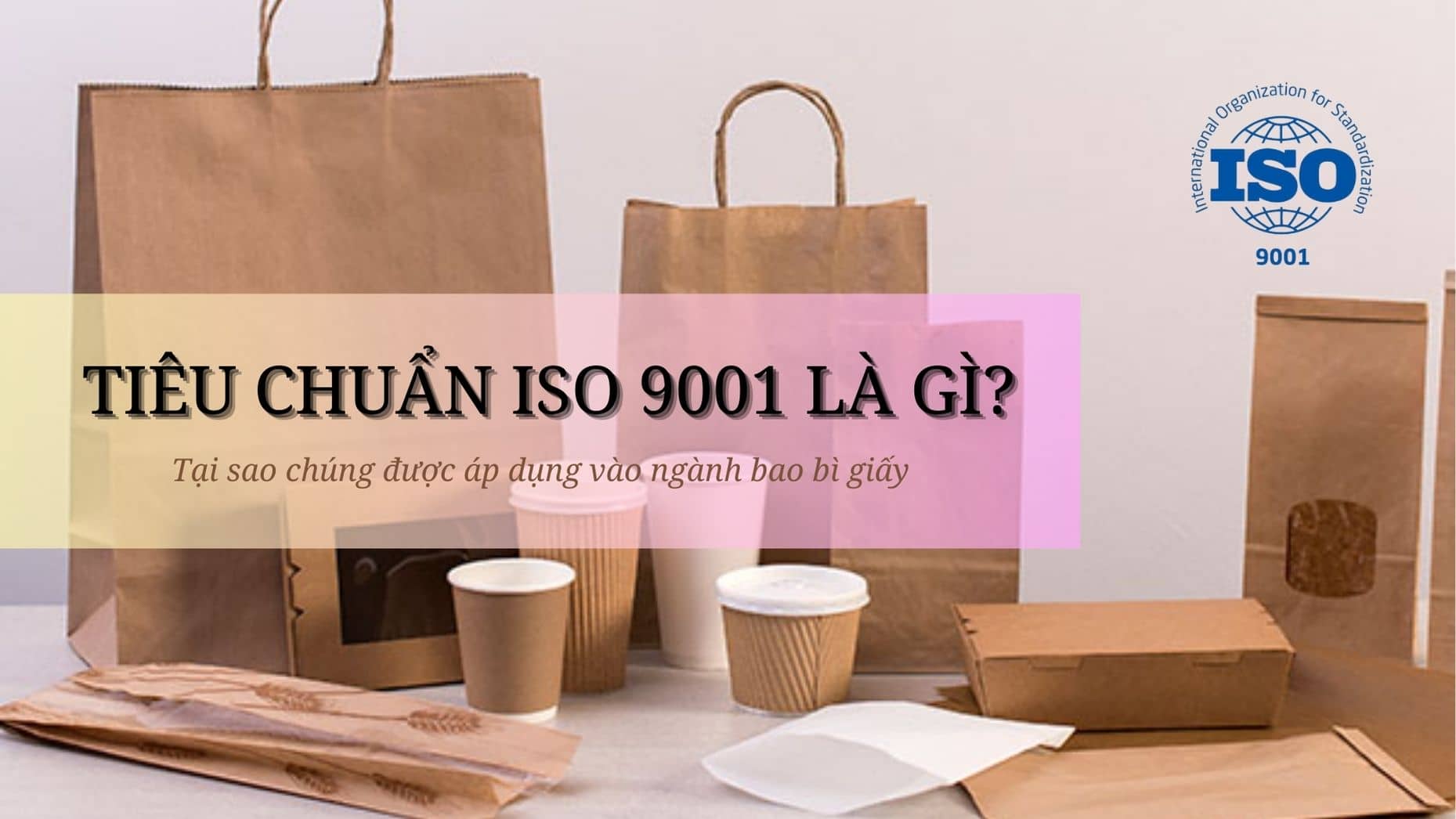 Tiêu chuẩn iso 9001 là gì? Tại sao chúng được áp dụng vào ngành bao bì giấy