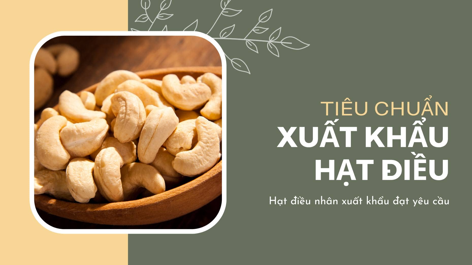 Tiêu chuẩn xuất khẩu hạt điều ra quốc tế và hạt điều nhân xuất khẩu đạt yêu cầu