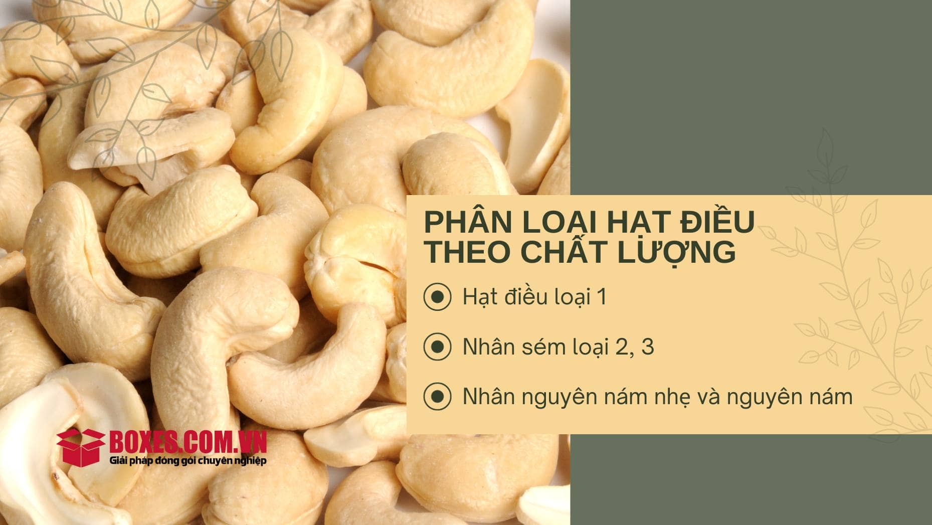 Tiêu chuẩn xuất khẩu hạt điều theo chất lượng