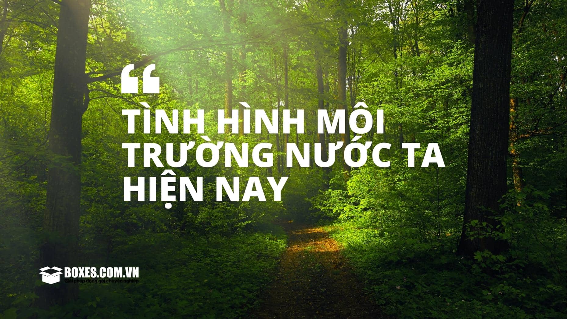 Tình hình môi trường nước ta hiện nay