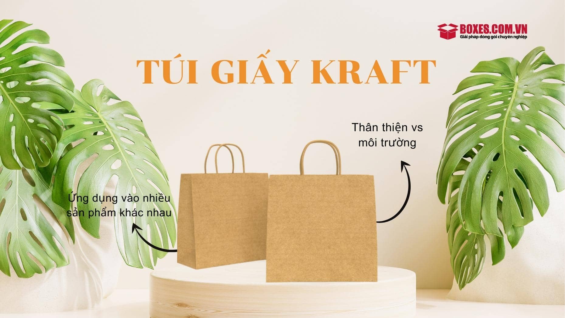Túi giấy kraft là gì?