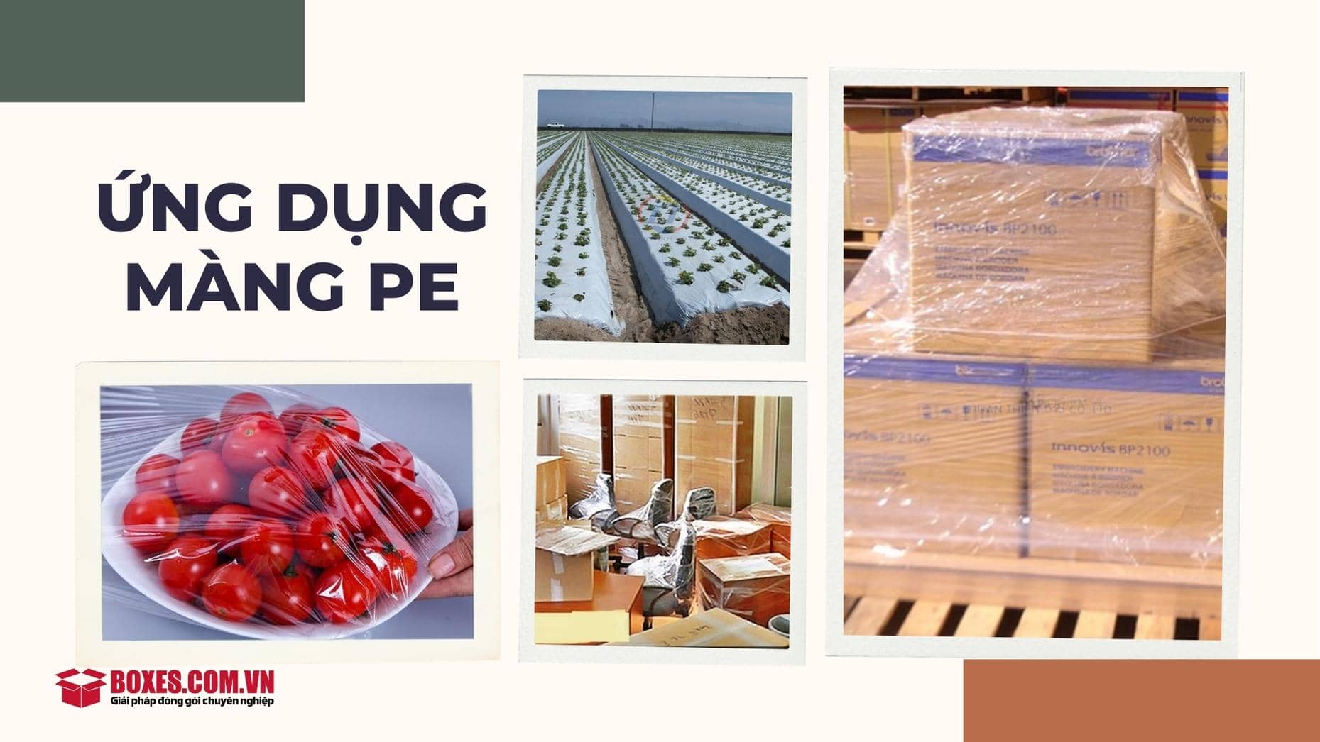 Ứng dụng của màng PE