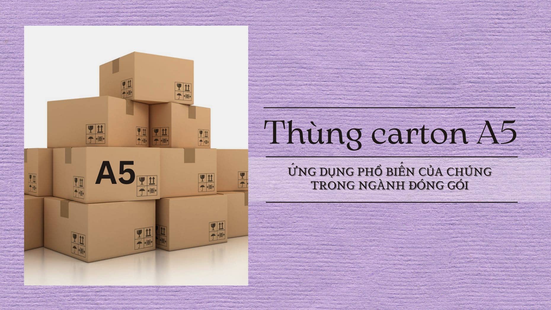 Thùng carton a5 là gì? Ứng dụng phổ biến của chúng trong ngành đóng gói