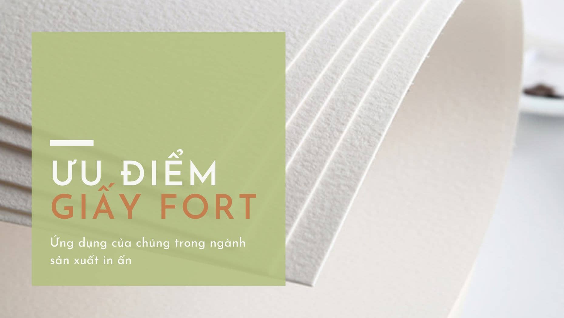 Giấy fort – Những ưu điểm và ứng dụng của chúng trong ngành sản xuất in ấn