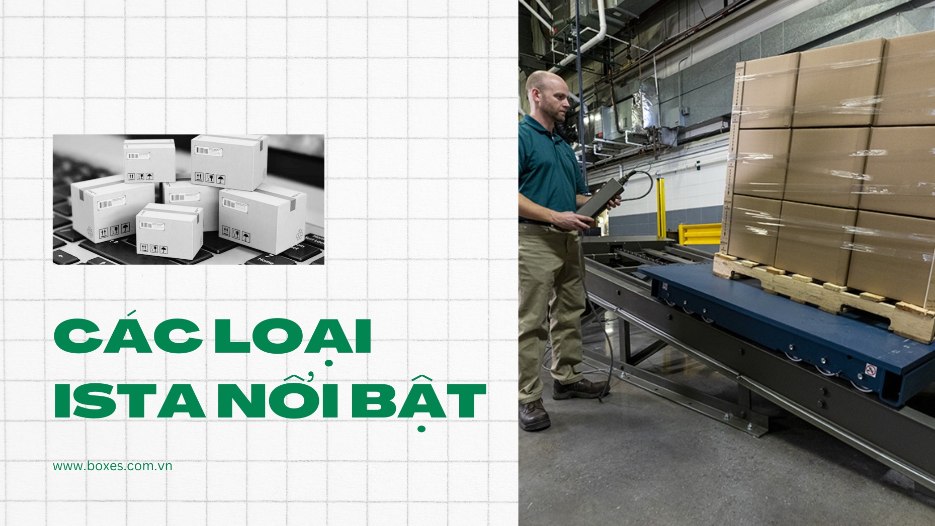 3 Loại ISTA nổi bật