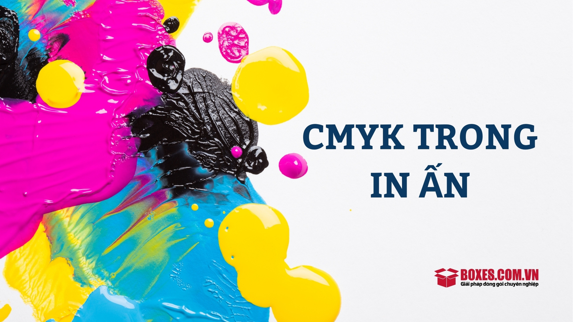 Ứng dụng hệ màu CMYK trong in offset