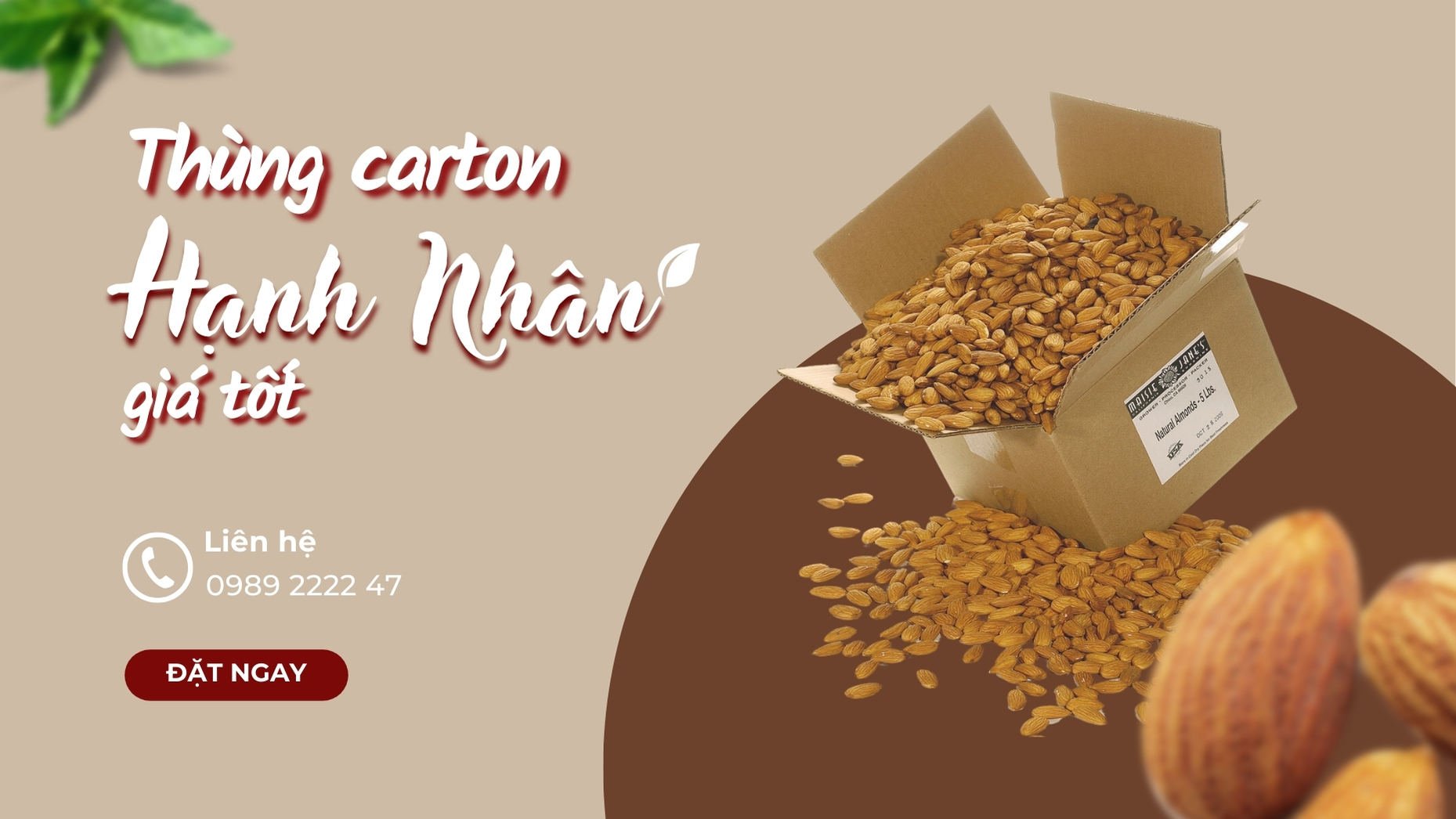 Nhận thiết kế, sản xuất thùng carton đựng hạnh nhân giá tốt